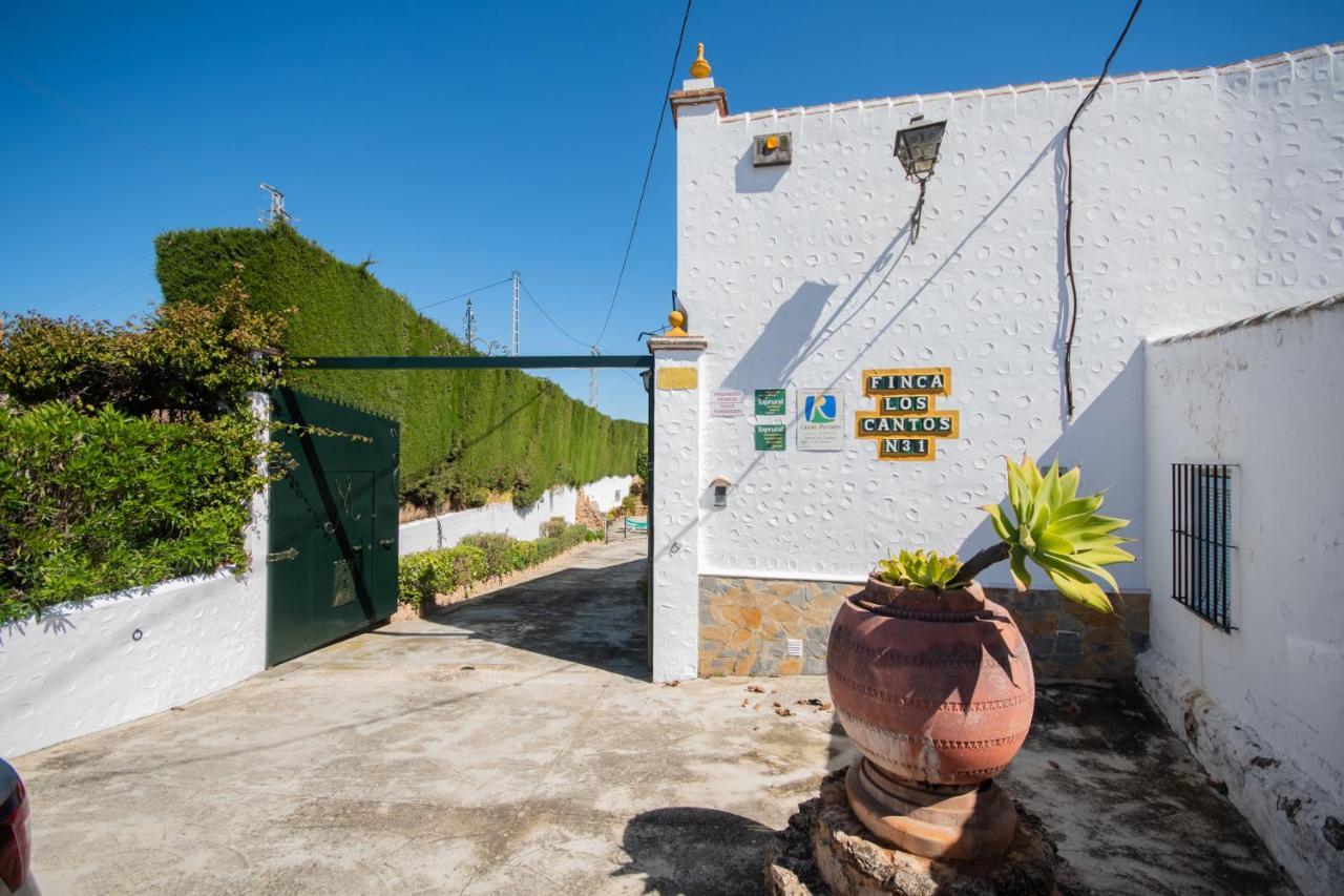 Tu Villa Rural Cortijo Los Cantos 7 Dormitorios Piscina Privada 알하우린엘그란데 외부 사진