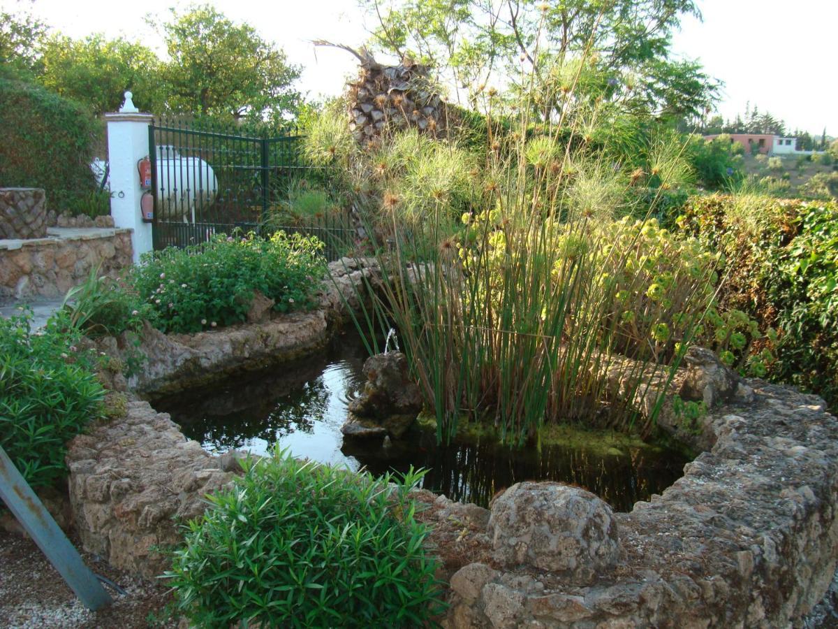 Tu Villa Rural Cortijo Los Cantos 7 Dormitorios Piscina Privada 알하우린엘그란데 외부 사진
